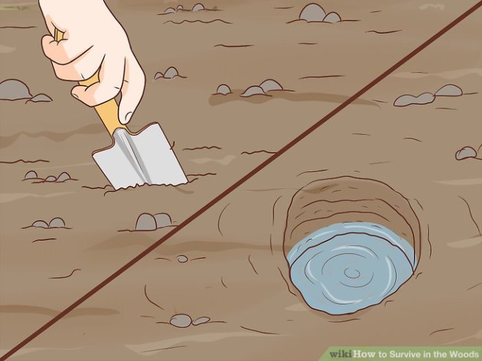 How to stay alive in the woods