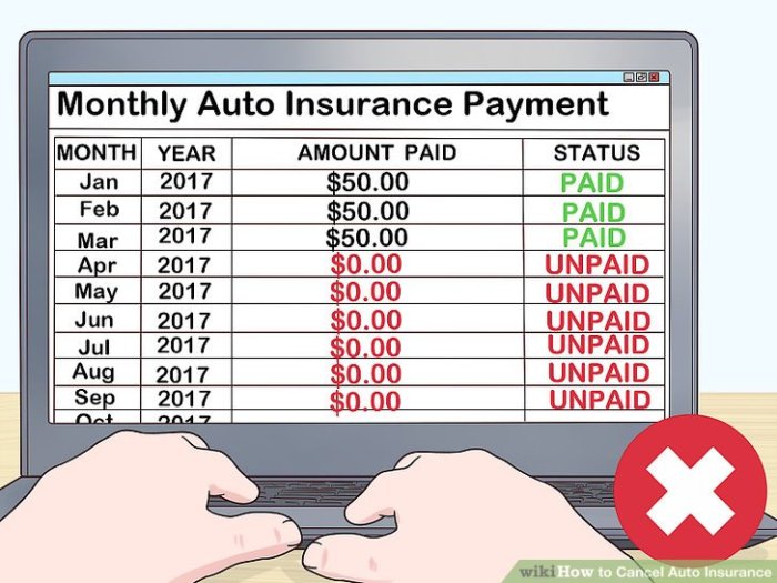 Insurance car cancel request call back