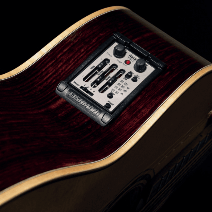 Aura fishman nylon acoustic pedal imaging