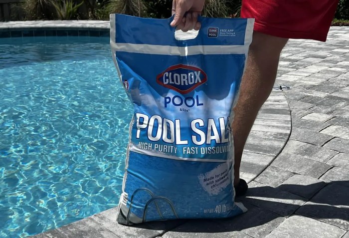 How to convert chlorine pool to salt
