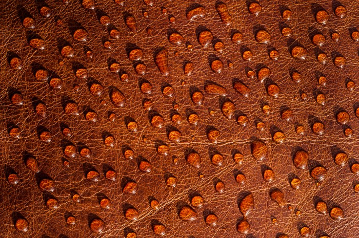 How to get rid of water spots on leather