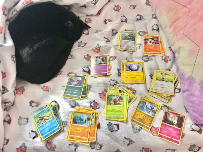 How to organise pokemon cards