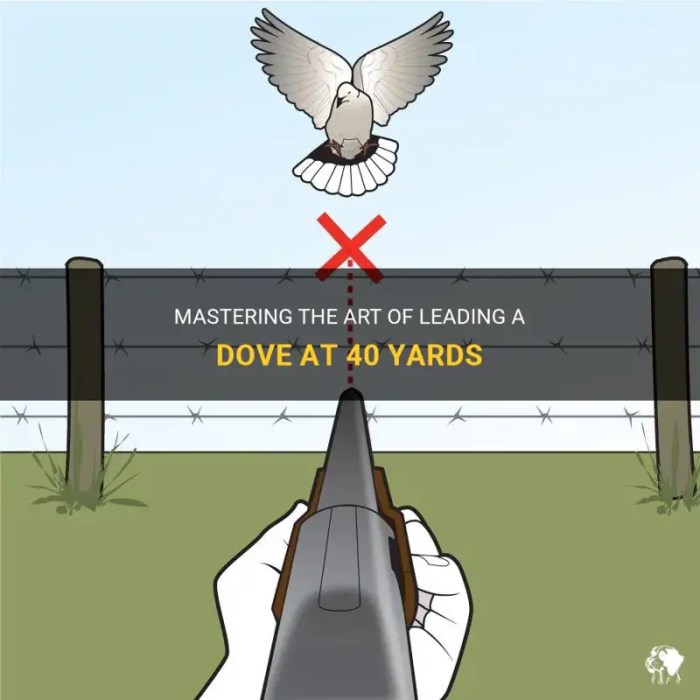 Dove limits competent doves shooter