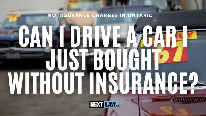 Can you drive a car off a lot without insurance