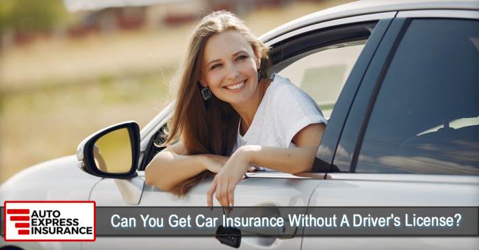 Cheapest car slideshare Car insurance without drivers license in texas