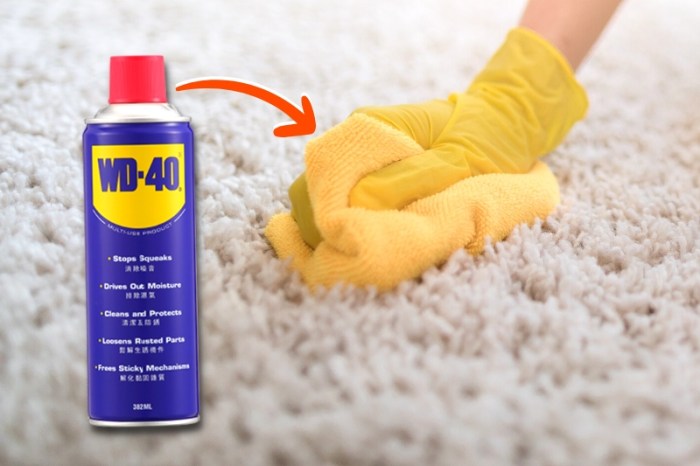 How to take rust stains out of carpet