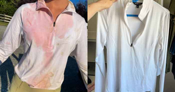 Stain temeculablogs cleaning