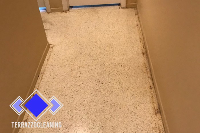 How to clean terrazzo floors