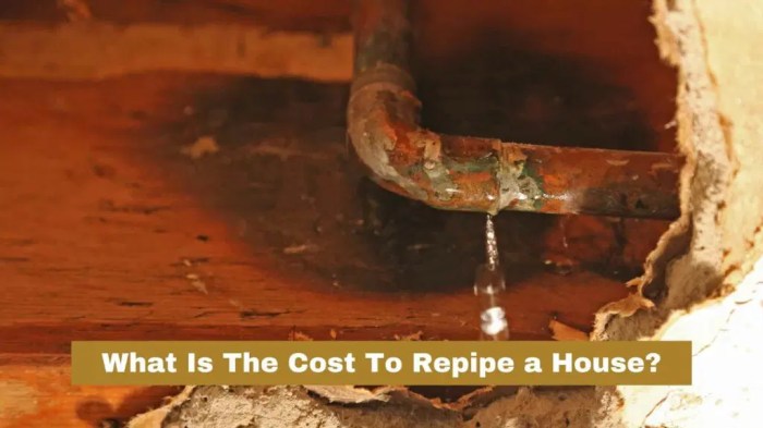 How much does it cost to repipe a house