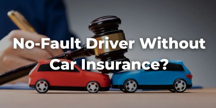 Car accident at fault no insurance