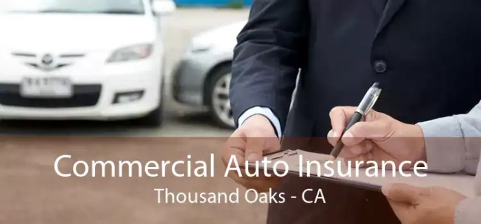 Car insurance thousand oaks ca
