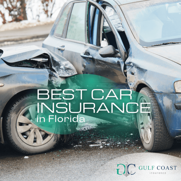 Car insurance in belle glade