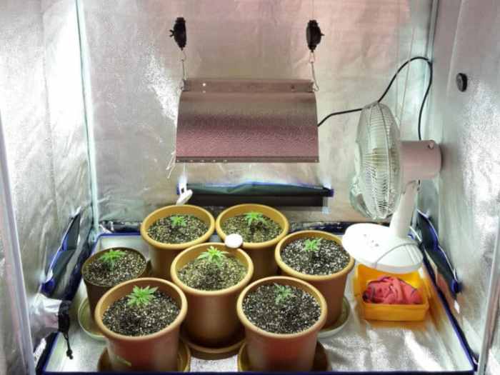 How to increase humidity in grow tent