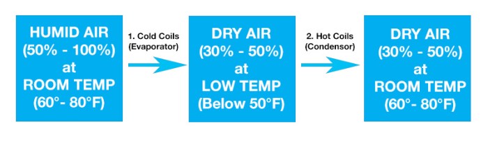 How long does it take a dehumidifier to work
