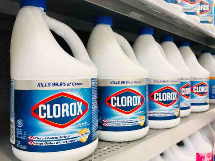 Bleach sanitize rv filtration rear Bleach sanitize rv filtration rear