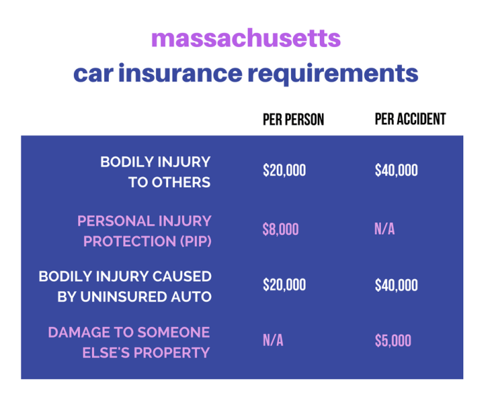 Money Can you pay car insurance annually