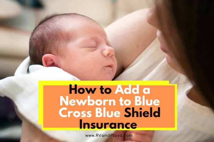 Bcbs bluecross blueshield Bcbs bluecross blueshield