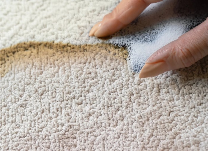 How to get motor oil out of carpet