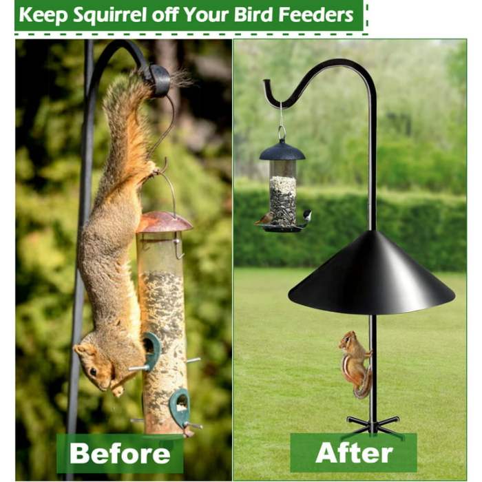 How to keep raccoons off bird feeders