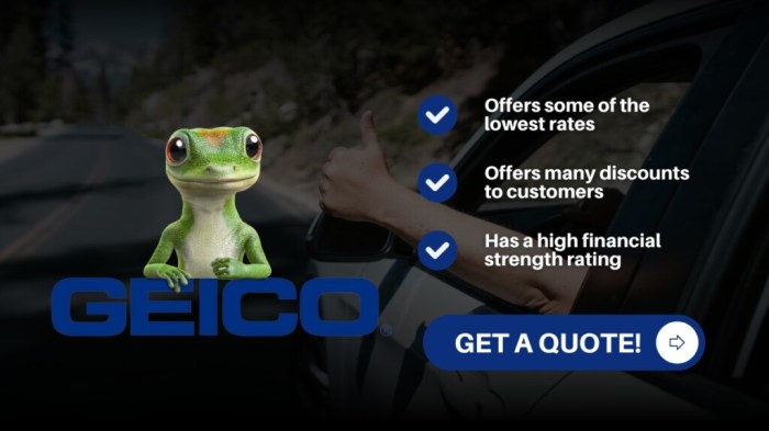 Car insurance fort myers fl