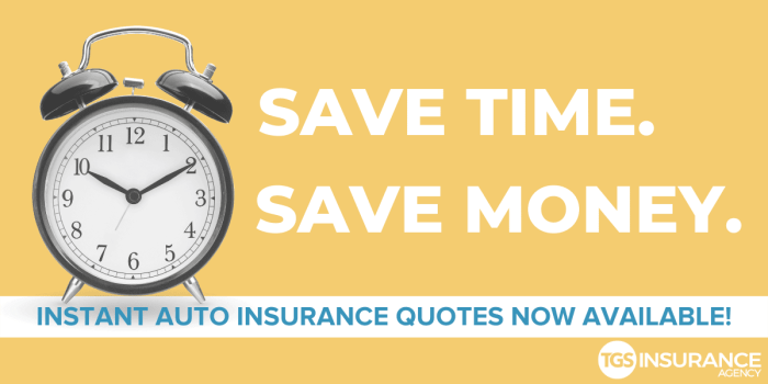 Cheapest car insurance hutto texas