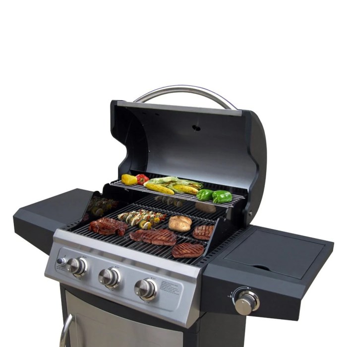 How to operate a landmann professional grill