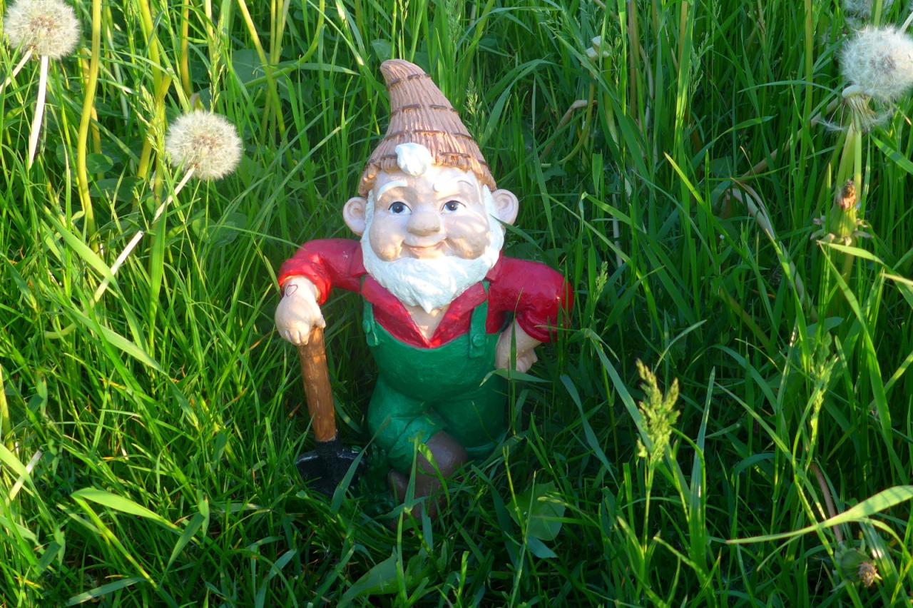 How to restore a lawn afflicted with fun gus