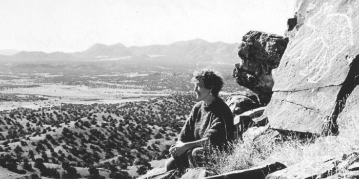 Lippard how not to argue with creationists