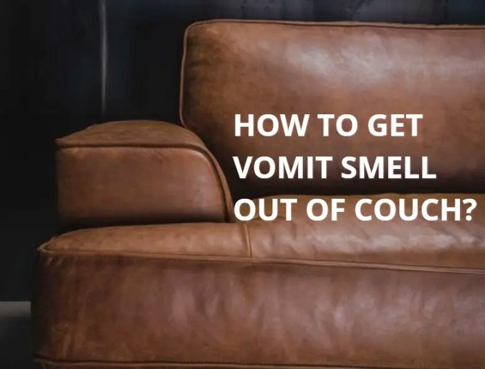 How to get smell of vomit out of couch