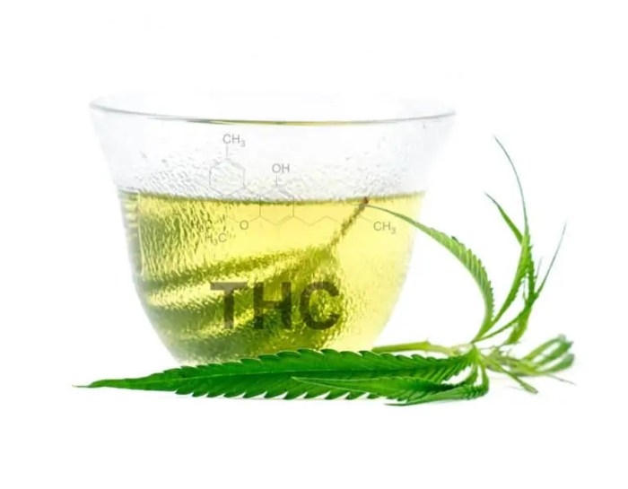 Tea make pot days may properly crucial few there How to make pot stem tea