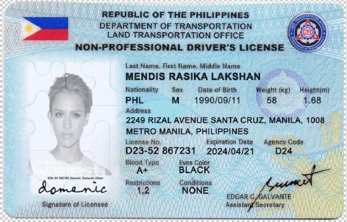 License student philippines permit driver issued types drivers application ph