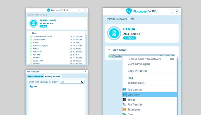 How to use radmin vpjn for lan
