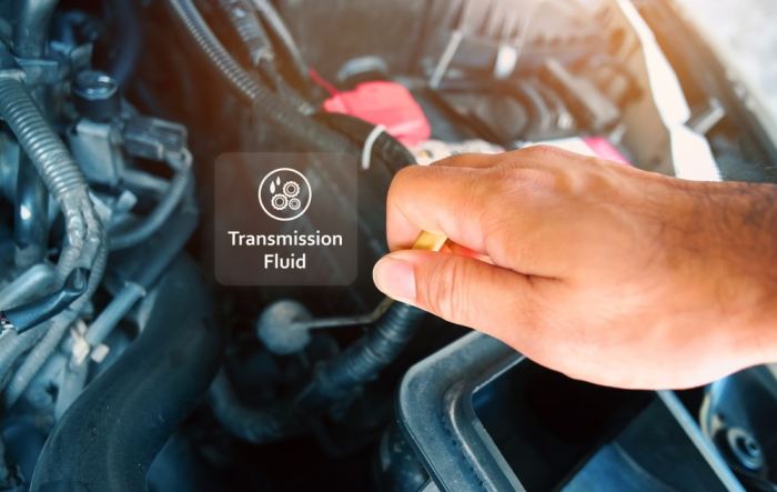 How to find bmw transmission fluid type