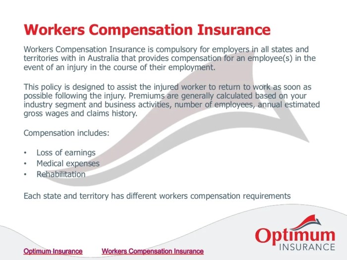 Workers comp insurance for nanny