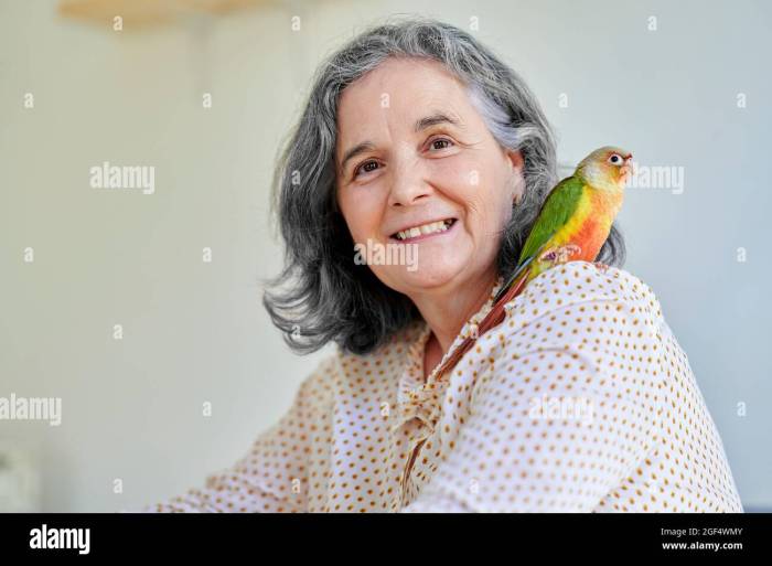 How to spot parrots from going off of ur shoulder