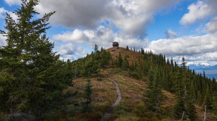 Glacier national park house case hearing