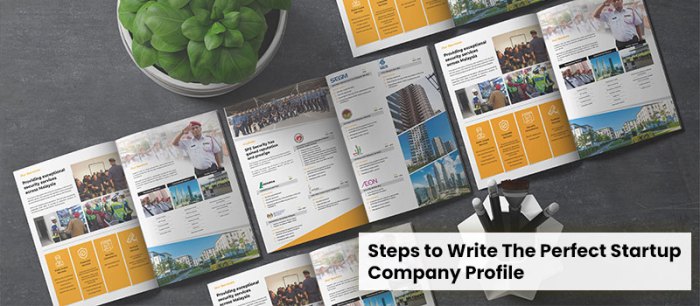 How to make a startup profile private techstars