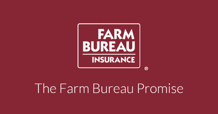Florida farm bureau car insurance