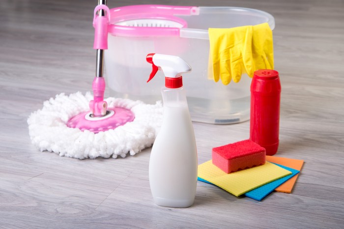 How long does it take to clean a house