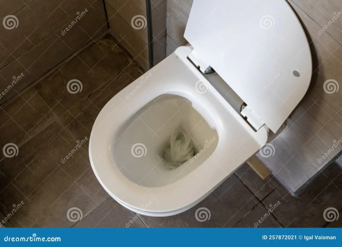 How to dissolve toilet paper clog