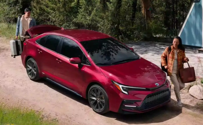 Car insurance for 2024 toyota corolla