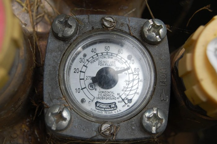 Gauge propane tank read berico pressure Gauge propane tank read berico pressure