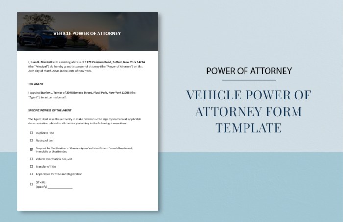 Power of attorney form for car insurance claims
