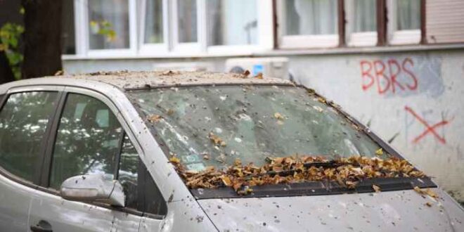 What Questions Do Car Insurance Companies Ask After an Accident?