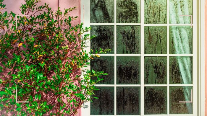 How to reduce humidity in house in winter