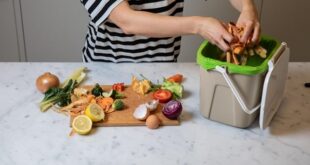 Kitchen Composting Made Easy: A Comprehensive Guide to Food Scrap Collectors