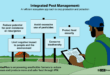 Mastering Integrated Pest Control in Your Kitchen: A Comprehensive Guide