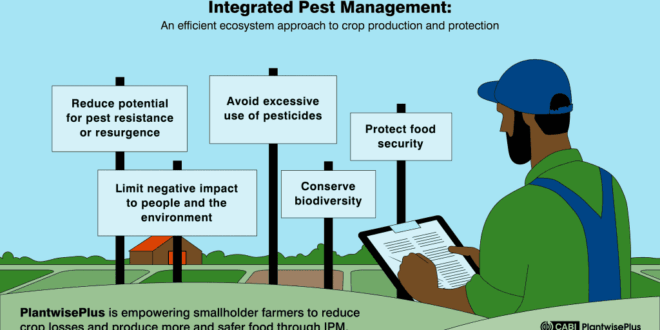 Mastering Integrated Pest Control in Your Kitchen: A Comprehensive Guide