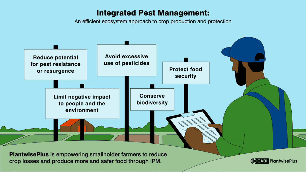 Mastering Integrated Pest Control in Your Kitchen: A Comprehensive Guide