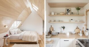 Unlocking Cozy Charm: A Guide to Minimalist Tiny Home Decor